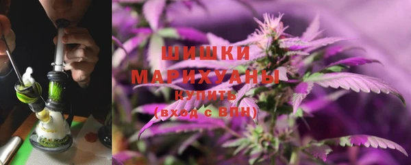 эйфоретик Арсеньев