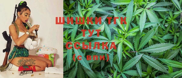 эйфоретик Арсеньев