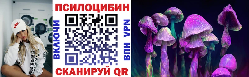 Псилоцибиновые грибы Cubensis  сколько стоит  Лобня 