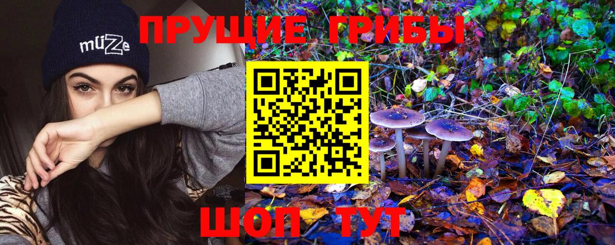 Лобня  Псилоцибиновые грибы Magic Shrooms  Вход с VPN 