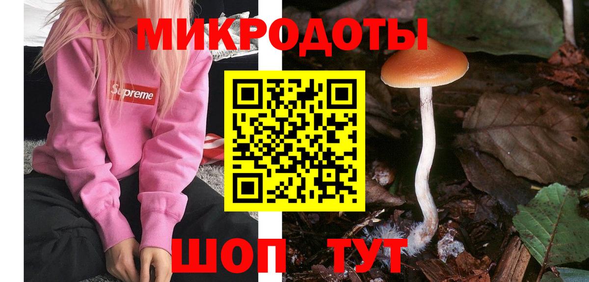 Псилоцибиновые грибы Psilocybine cubensis Лобня